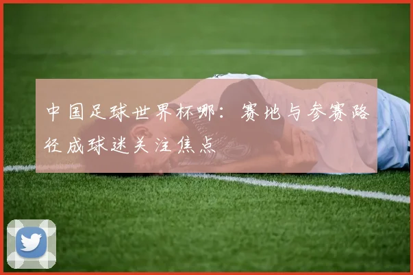 中国足球世界杯哪：赛地与参赛路径成球迷关注焦点