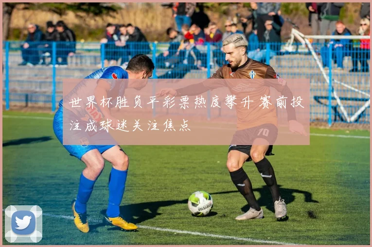 世界杯胜负平彩票热度攀升 赛前投注成球迷关注焦点