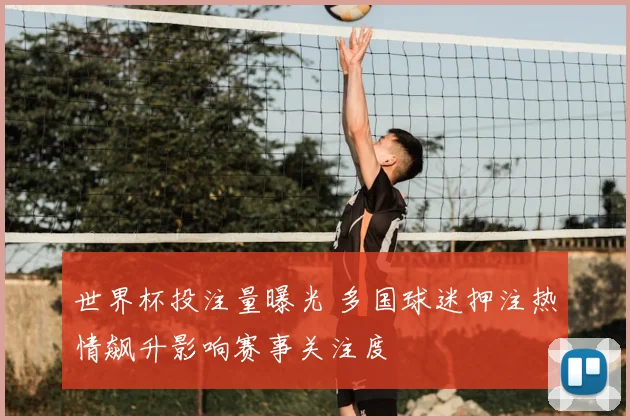 世界杯投注量曝光 多国球迷押注热情飙升影响赛事关注度