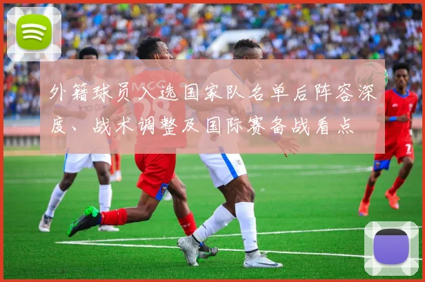外籍球员入选国家队名单后阵容深度、战术调整及国际赛备战看点
