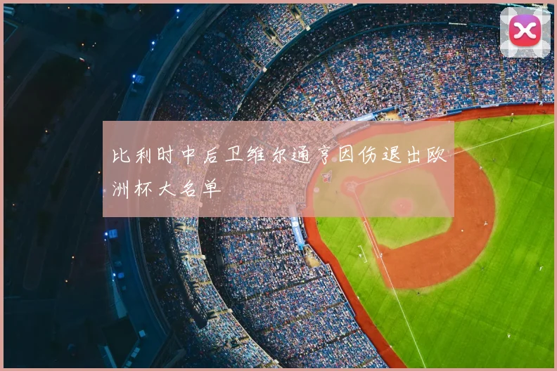 比利时中后卫维尔通亨因伤退出欧洲杯大名单